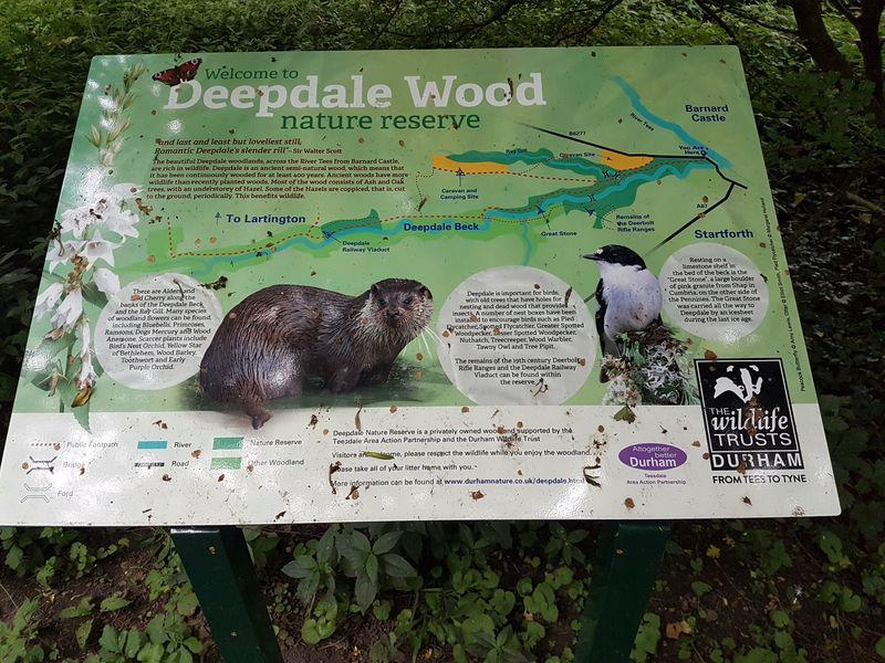 Deepdale Wood Naturschutzgebiet